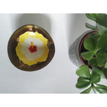 Charger l&#39;image dans la galerie, Fleur d&#39;hibiscus
