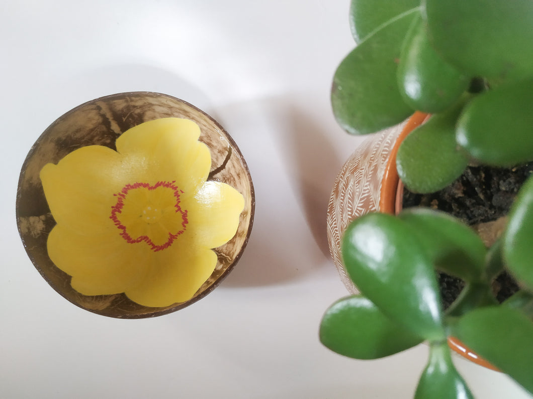Fleur millepertuis
