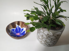 Charger l&#39;image dans la galerie, Morning Glory
